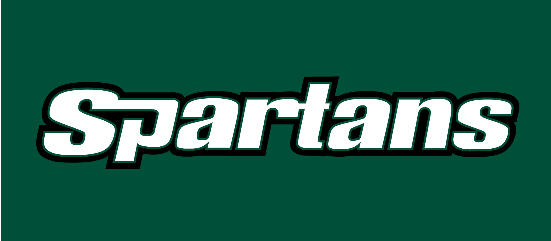 USC Upstate Spartans 2003-2010 Wordmark Logo v2 iron on transfers for T-shirts